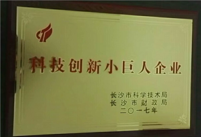 乐玩官方（中国）总部智能荣获科技创新小巨人企业